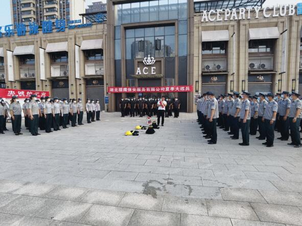 轉(zhuǎn)載：颯！酷！高溫下的襄陽街頭驚現(xiàn)一群“獵鷹”！